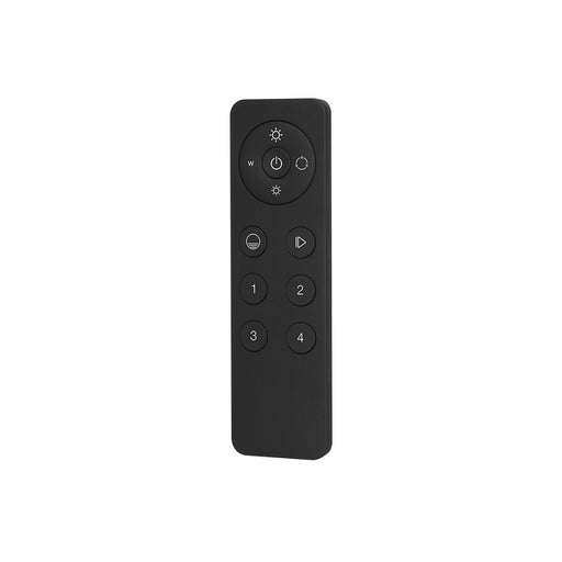 RGBW RF Remote for HL1029 - The Lighting Shop NZ