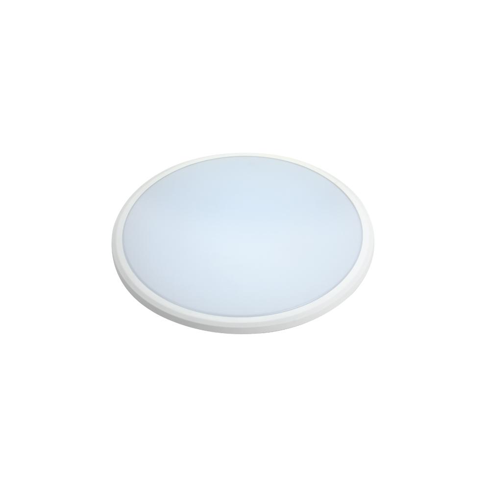 Ceiling Lights