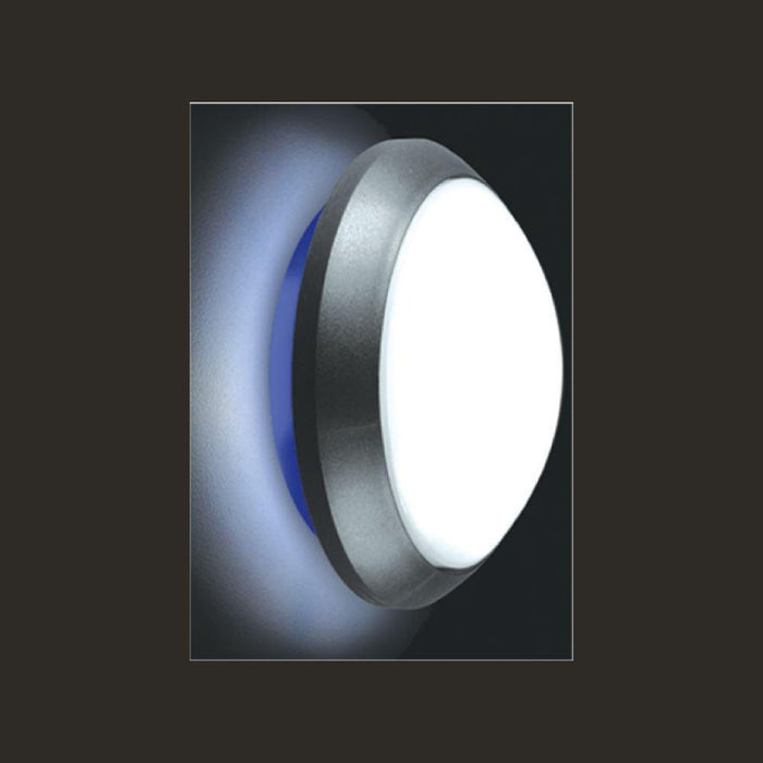 https://www.thelightingshop.co.nz/cdn/shop/products/0000675_exterior-ceiling-wall-light-ip54-arealite-tandem-rap-blue-e27-556209_700x700.jpg?v=1702378913