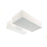 36W Double Spot Architectural Surface Mount Natural White 4K White L220 * W250 * H67mm - The Lighting Shop