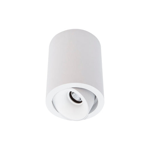 10W CEVON Dark Art Tilt/Rotate Round 3000K Warm White Downlight - WHITE&WHITE - The Lighting Shop
