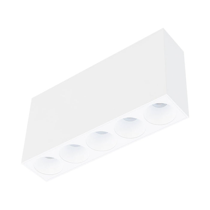 13W CEVON Dark Art Fixed 5 | 3000K Warm White Downlight - WHITE&WHITE - The Lighting Shop