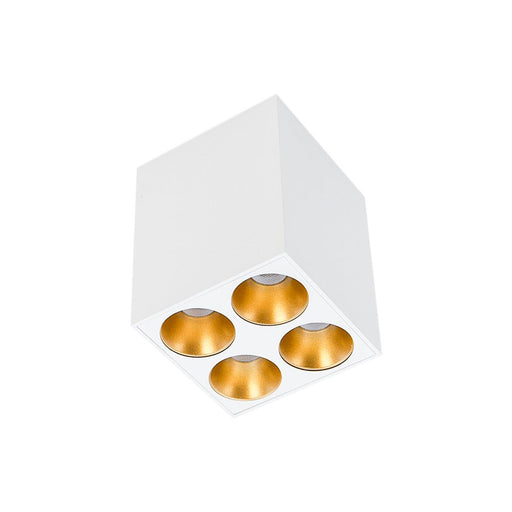 13W CEVON Dark Art Fixed 4 | 3000K Warm White Downlight - WHITE&GOLD - The Lighting Shop