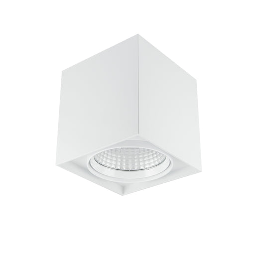 13W Dimmable Decorative 3000K Surface Mount Downlight - WHITE - The Lighting Shop