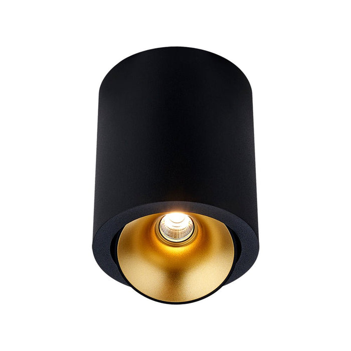 14W CEVON Dark Art Tilt/Rotate Round 3000K Warm White Downlight - BLACK&GOLD - The Lighting Shop