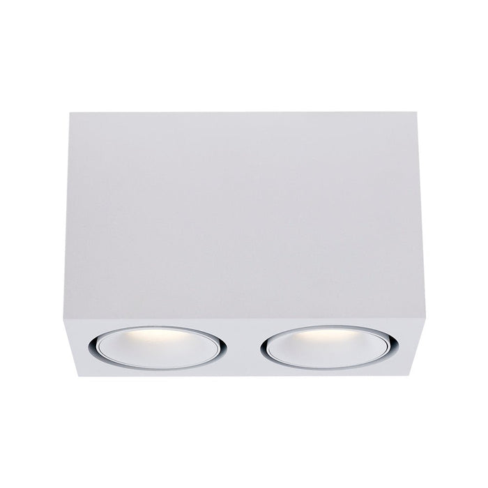 2x10W CEVON Dark Art Tilt/Rotate Twin 3000K Warm White Downlight - WHITE&WHITE - The Lighting Shop